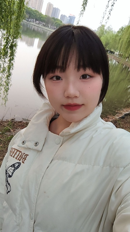 陪读,英语,数学,语文